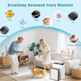 4 PACK True HEPA Replacement Filter for Tolife TZK2/TZK2A Air Purifier, 3-in-1 Filtration System with Activated Carbon for Dust, Pet Dander & Odor Removal