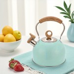 Scandinavian minimalist modern aesthetics perfectly combined with practical functionality, 3L blue spray-painted kettle compatible with induction cooktops and gas stoves, semi-spherical flat bottom structure ensures even heating, significant energy-saving effect, easy to clean and durable, suitable for all stovetops, perfect teapot for homes, bars, milk tea shops, no need for frequent boiling